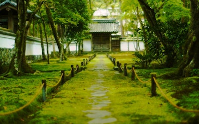 秋の京都府「西芳寺（苔寺）」は苔と紅葉が美しい！建物も素晴らしい名刹の拝観は予約制！