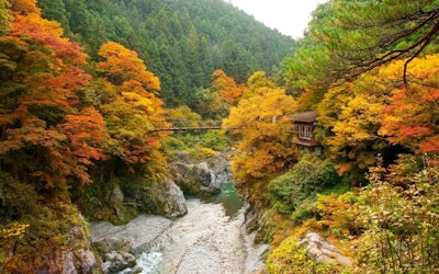 Autumn Leaves and Boulders in Hatonosu Valley! Enjoy Sightseeing and Autumn Leaves in Okutama via Video!