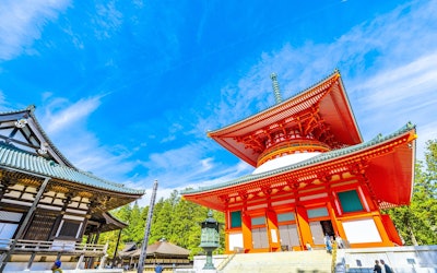 Koyasan Is a Holy Land for Japanese Buddhism Which Was Founded by Kukai. Come Purify Your Mind and Body at This Mysterious Power Spot in Wakayama Prefecture!