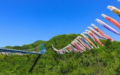 Ryujinkyo Koi no bori 축제! 1,000마리의 잉어 깃발이 웅장하게 헤엄치는 모습은 압권입니다! 이바라키현의 자연을 느끼면서 즐길 수 있는 류진쿄의 볼거리를 소개합니다!