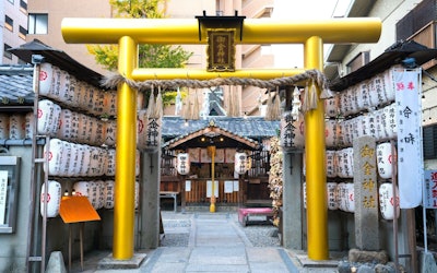 Mikane Shrine, Kyoto – A Golden Torii Gate & Blessings of Wealth at This Hidden Gem Surrounded By Offices in Kyoto
