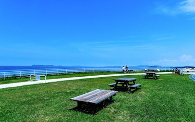 Flowers, Playgrounds and the Sea – Discover the Charms of Uminonakamichi Seaside Park via Video! This State-Run Park in Fukuoka is Fun for All the Family!