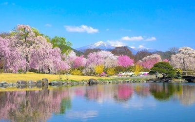 福島県郡山市にある「四季の里緑水苑」の庭園はまるで桃源郷ように美しい花々が咲き誇る！一面に桜が咲き誇る絶景は絶対に見逃せない！