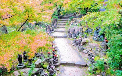 介绍广岛的力量景点「宫岛的大圣院」的看点！ 向一愿大师许愿！