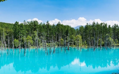 Hokkaido - Endlessly Sweeping Horizons and Magnificent Scenery! Set off on a Trip to Hokkaido's Scenic Locations to Enjoy Spectacular Views of Japan's Natural Landscape!