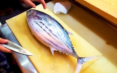 Fresh Bonito Processed and Made Into the Finest Dishes! Check Out the Skills of This Chef as He Prepares Nigiri Sushi and Tataki!
