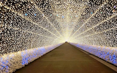 TOKYO MEGA ILLUMINATION 2022 – A Limited-Time Illumination at Tokyo City Keiba! Discover a Breathtaking World of Lights and Fountains!