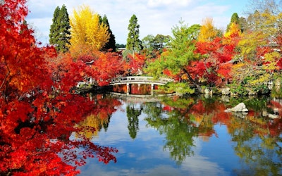 Eikando Temple - Beautiful Autumn Foliage at a Famous Japanese Temple in Kyoto