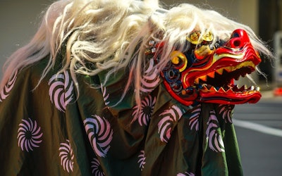 「赤穂の獅子舞」は日本伝統の勇壮な獅子舞が兵庫県赤穂市の沿道をダイナミックに練り歩く！日本で古くから親しまれてきた獅子舞を動画でご堪能あれ！