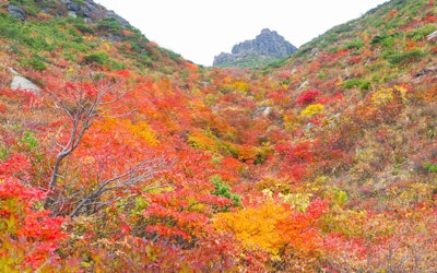 福島県「安達太良山」の紅葉の見頃を迎えた美しい動画！ ロープウェイを利用した登山も人気