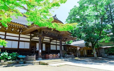 There Are an Infinite Number of Ways To Enjoy Yourself at the Ancient Jindaiji Temple in Chofu, Tokyo! In This Relaxing Environment, You May Even Be Greeted by Gegege no Kitaro!