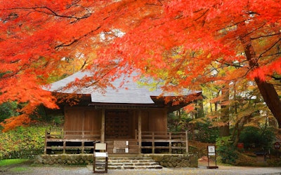 Hiraizumi's Chuson-ji Temple: Registered as a World Heritage Site, It's One of the Most Popular Spots to See Iwate Prefecture as Its Dyed a Brilliant Red by the Autumn Foliage