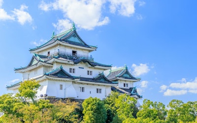 名城・紀州和歌山城の歴史を知る！重要文化財と楽しさ溢れるおもてなしを体験、そして魅力度満点の歴史の世界へ！