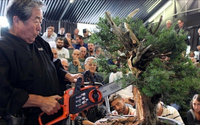 A Master Bonsai Artist's Technique to Share the Appeal of Bonsai With the World! A Look at the Performance Leaving Italians in Awe!