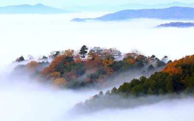 The Autumn Foliage of Bitchu Matsuyama Castle: A Spectacular View of the "Castle in the Sky" Floating on a Sea of Clouds!