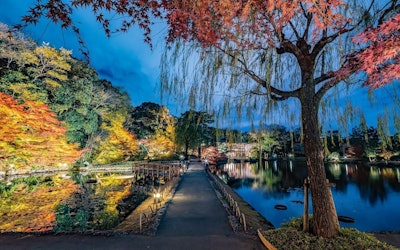 讓點點燭光牽動腳步，慢慢欣賞「德川園」的霜葉丹紅，為愛知縣名古屋市自傲的日本庭園秋季之美所沉醉