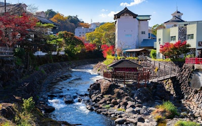秋の訪れとともに美しく彩られた静岡県の修善寺の紅葉を動画で！伊豆観光するなら文豪も愛した修善寺温泉へ