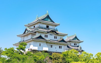 歴史ある和歌山城や美しい海の絶景など、和歌山市には人気の観光スポットがいっぱい！和歌山観光へ行く前に、訪れるべき見どころを動画でチェック！