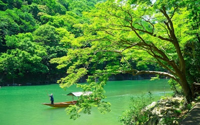 Experience the Dynamic Nature of the Hozu River at Kameoka and Arashiyama in Kyoto! A Boat Trip to One of Japan's Most Popular Tourist Destinations!