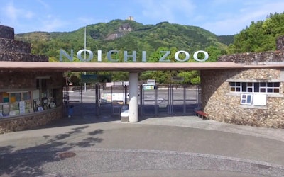 Noichi Zoological Park - Otter Exhibits, Recreation of Natural Habitats and More! Come Check Out the Amazing Wildlife of Japan in a More Natural Habitat!