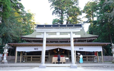 到日本少数的能量景点“茨城县鹿岛神宫”一游如何？和德川家康有关的鹿岛神宫是可以接触日本历史文化的最佳观光景点喔！