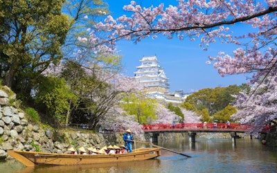 盡情欣賞日本第一個名列世界文化遺產的兵庫縣姬路城！純白的「白鷺城」與盛開的粉櫻形成強烈對比，儼然大自然創造的藝術