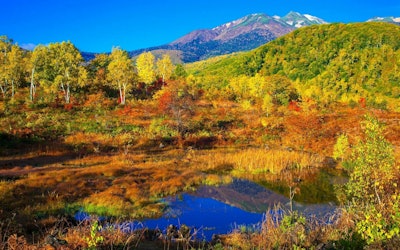 人気の観光地長野県の「乗鞍高原」の紅葉動画、錦秋の神秘的な美しい風景に心が吸い込まれていく気がした！