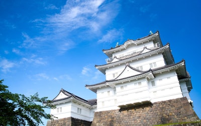 Step Into Odawara Castle and Journey Back in Time to the Warring States Period! A Look at the Castle Overflowing With History in Odawara, Kanagawa; It Might Just Bring Out the Warrior in You!